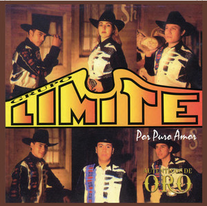 Por Puro Amor album