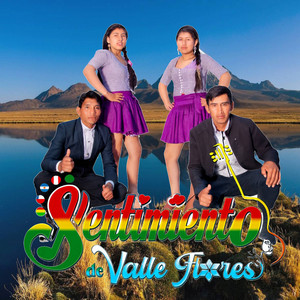 Sentimientos de Valle Flores - Valle Flores 2025
