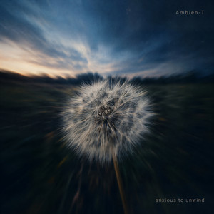 anxious to unwind by Ambien-T
