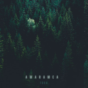Tosh - Amara mea