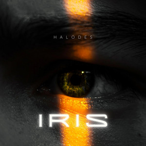 Halodes