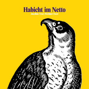 Habicht im Netto