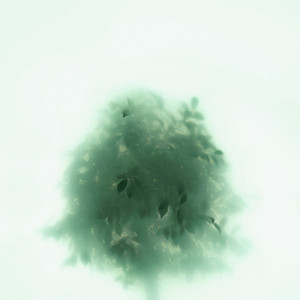 Emerald Poetry by Silence Concertos
