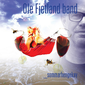 Sommarhengekøy