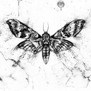 Mistrust by Borage