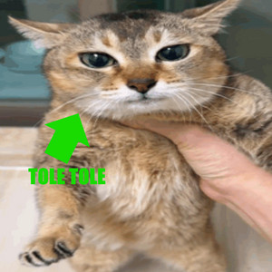 $SAVE - Толе Толе (mei mei)