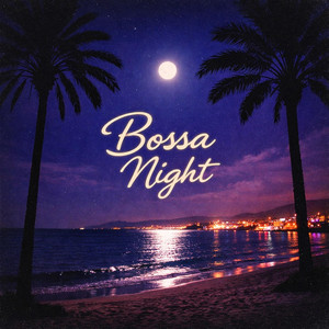 Bossa Night by Soul hermano