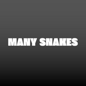 tendencia DJ - Many Snakes