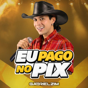 EU PAGO NO PIX by Gabrielzim