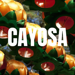 CAYOSA by yayoki