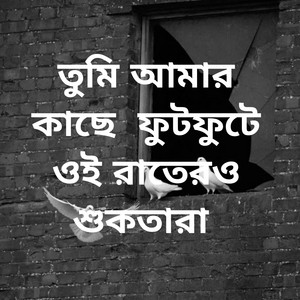 তুমি আমার কাছে  ফুটফুটে ওই রাতেরও শুকতারা