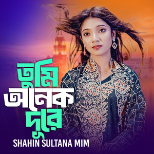 Shahin Sultana Mim - Tumi Onek Dure