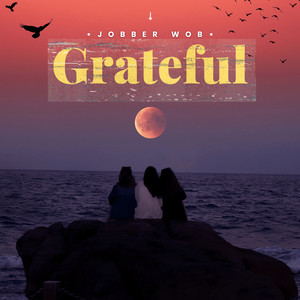 The Way You Look Tonight by Jobber Wob