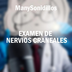 Examen De Nervios Craneales, Pt. 3 by ManySonidillos