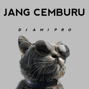 DJ Ami Pro - DJ Jang Cemburu