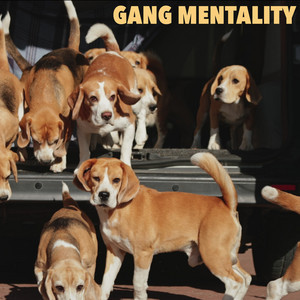 Gang Mentality by Dutch & Graft, Good Health Good Wealth, Happy Cat Jay