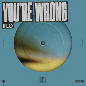 You're Wrong by IILO