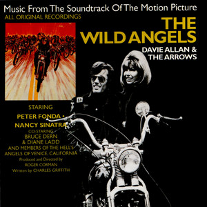 洋画・外国映画 THE WILD DVD ANGELS