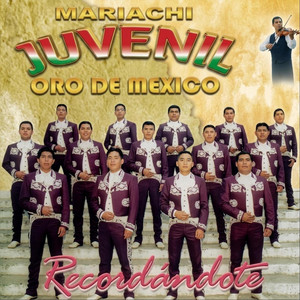 Mary Es Mi Amor by Mariachi Juvenil Oro de México