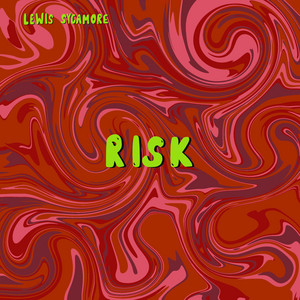 Portada de Risk