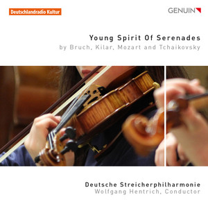 Serenade for String Orchestra, Op. 48, TH 48: III. Elegia. Larghetto elegiaco by Pyotr Ilyich Tchaikovsky