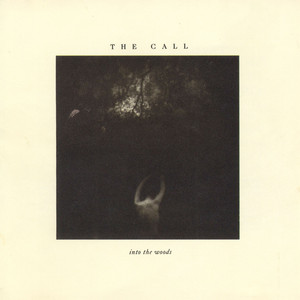 In the River by The Call