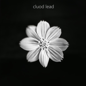 white flower by Cluod Lead