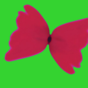 IVVVO cover