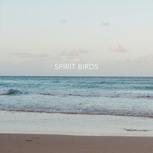 Spirit Birds by Soloman and The Sea, Reigan