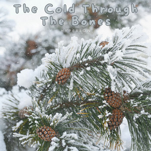 The Cold Through The Bones by Hyperion