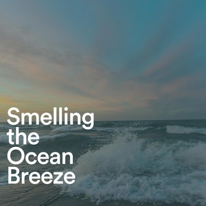 Smelling the Ocean Breeze album