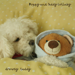 Puppy and Teddy Lullaby by Drowsy Teddy