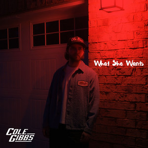 What She Wants by Cole Gibbs
