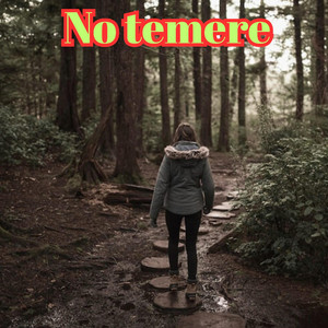 No Temere by Fuyi Lao