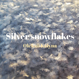 Silver snowflakes