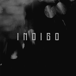 Portada de Indigo