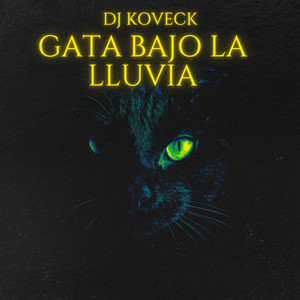 Gata Bajo La Lluvia by DJ KOVECK