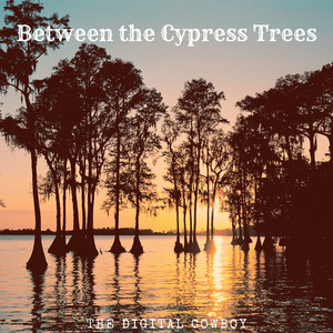 The Digital Cowboy - Where the Crawfish Boil