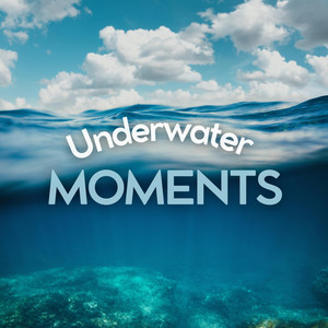 Underwater Moments album
