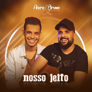 Pedro & Bruno - Não Precisa / Tô Mal (feat. Cantor Gabriel) [Ao Vivo]