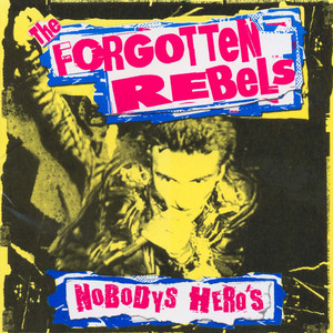 Nobody's Heros cover