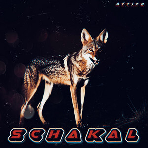 SCHAKAL