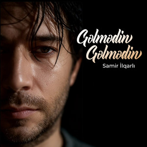 Gəlmədin Gəlmədin by Samir İlqarlı