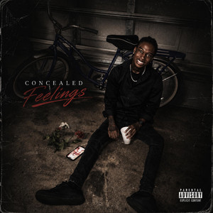 Concealed Feelings by Santiaga