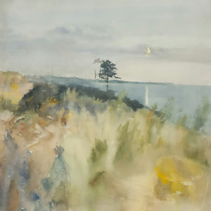 arbre solitaire by Adrien Anviér