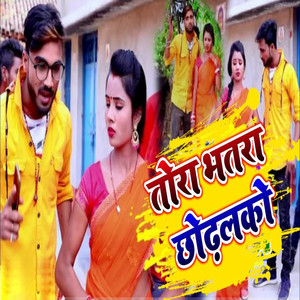 Deepak Raj Yadav - Tora Bhatar Chhodhalko