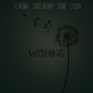 DJ Drama - Wishing (feat. Chris Brown, Skeme & Lyquin)