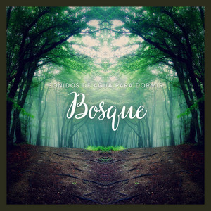 Sonidos de Agua para Dormir: Bosque album