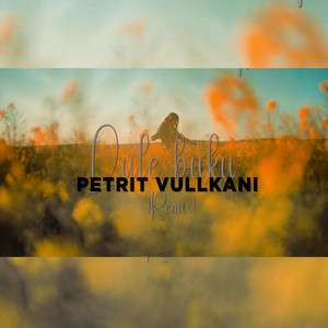 Petrit Vullkani - Lule Bukur (Remix)