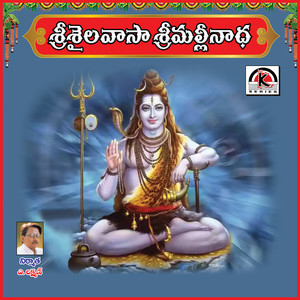 Jangi Reddy Addula - Sri Shailavaasa Sri Mallinadha